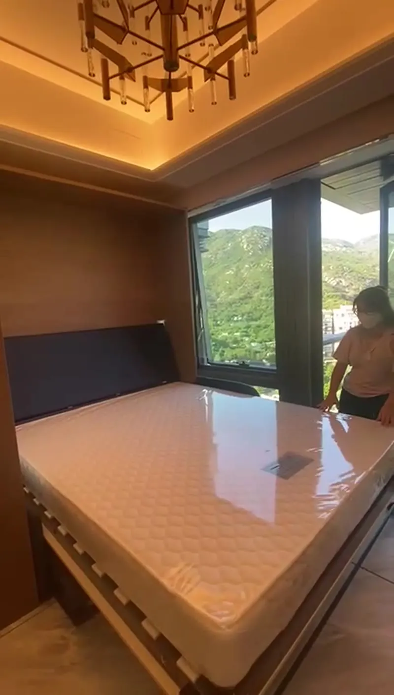 Mid-Levels 800sqft Queen wall bed
